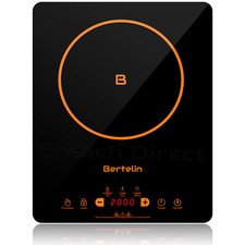 Bertelin Electric Induction